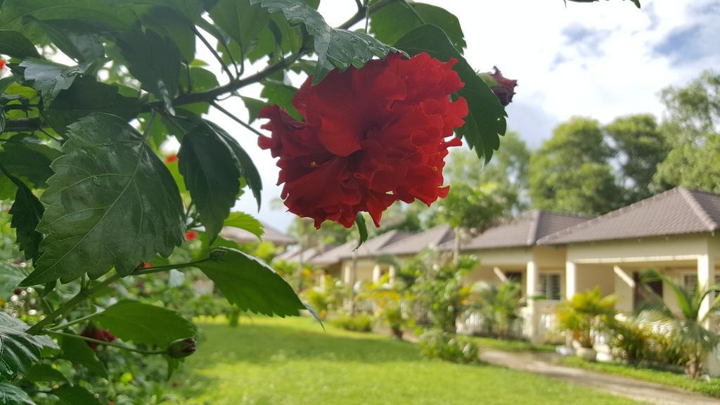 Отель The Moonflower Bungalow Сиануквиль Экстерьер фото